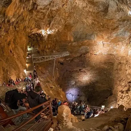 Апартаменты Jolie *